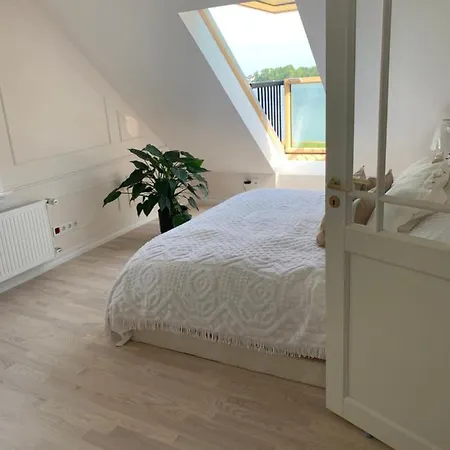 With The View! Проживание в семье