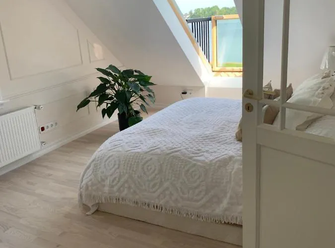 With The View! Проживание в семье